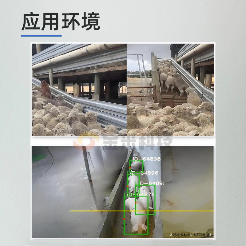 稿定设计-4.jpg